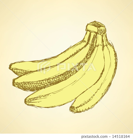 Sketch tasty bananas in vintage style 14518164