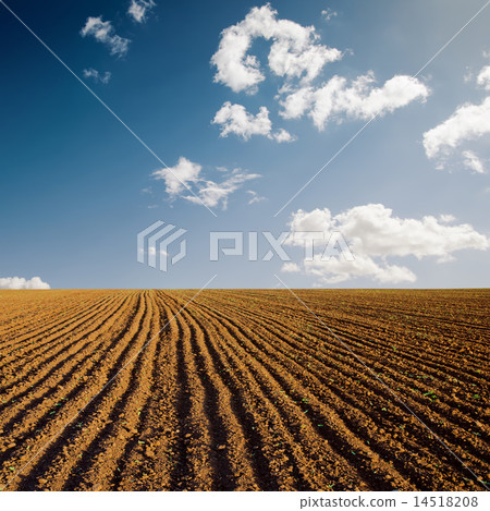 plowed field and blue sky in sunset plowed field and blue sky in sunset 14518208