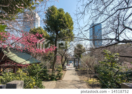 Shiba Toshogu Shrine 14518752