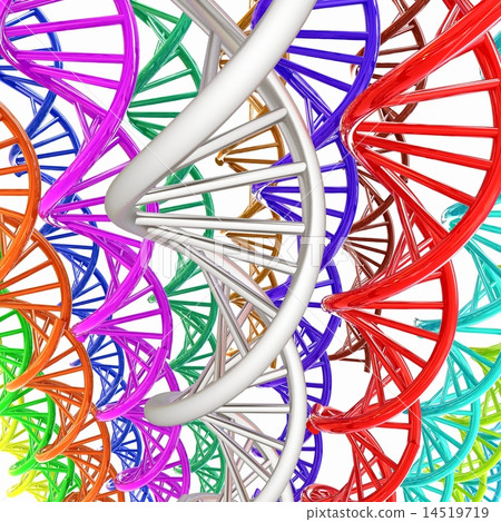 DNA structure model background DNA structure model background 14519719