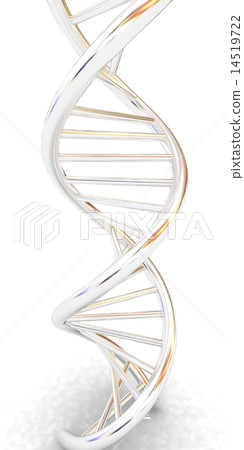DNA structure model DNA structure model 14519722