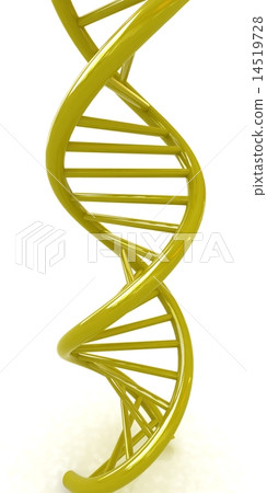 DNA structure model 14519728