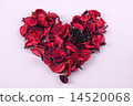 love 14520068