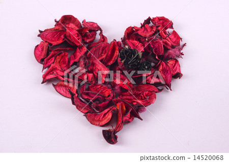 love 14520068