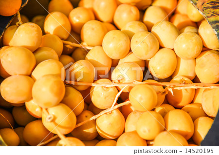 yellow plum yellow plum 14520195
