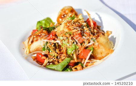 salad with vegetables and chicken 14520210