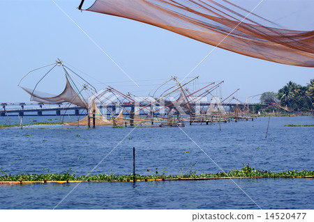 Chinese fishing nets. Vembanad Lake, Kerala,India Chinese fishing nets. Vembanad Lake, Kerala,India 14520477
