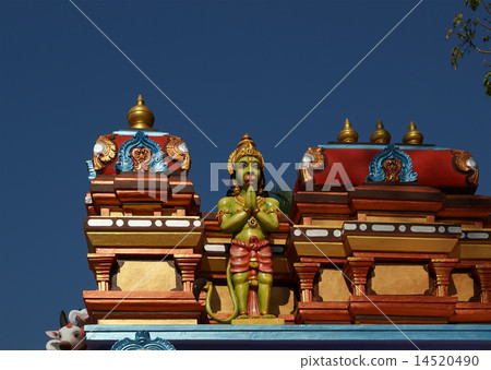 Traditional statues of gods and goddesses  14520490