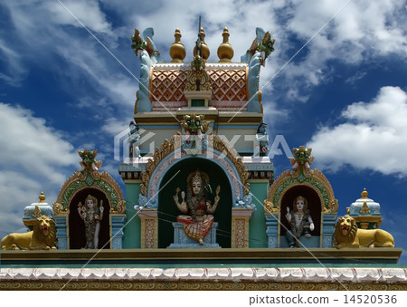 Suchindram temple,Kanniyakumari, South India 14520536