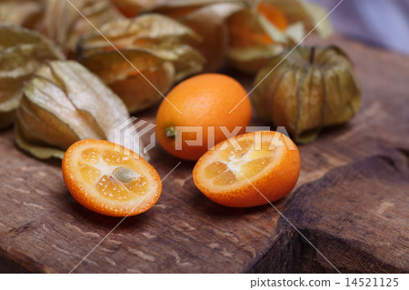 kumquat and physalis 14521125