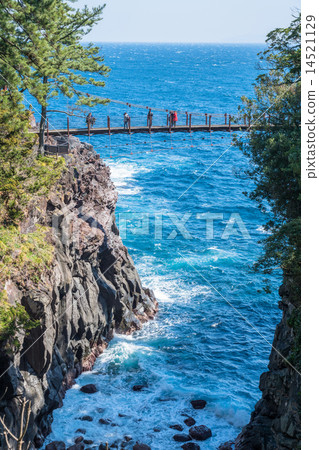 Jogasaki coast, Kadowaki suspension bridge [Shizuoka Prefecture, Izu] 14521129