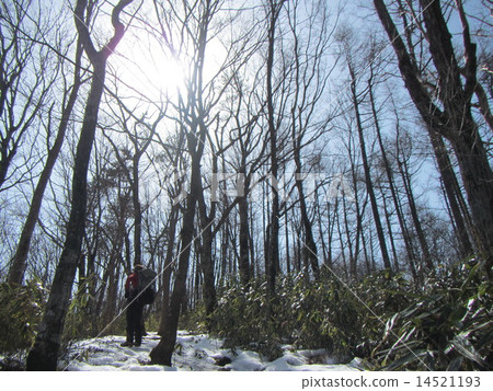 Ryuga mountain climbing road snow 4 14521193