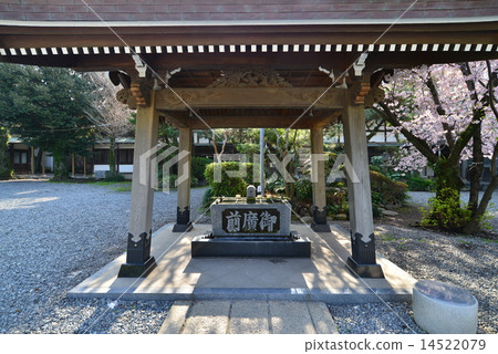 沼津淺間神社溫泉 沼津淺間神社溫泉 14522079