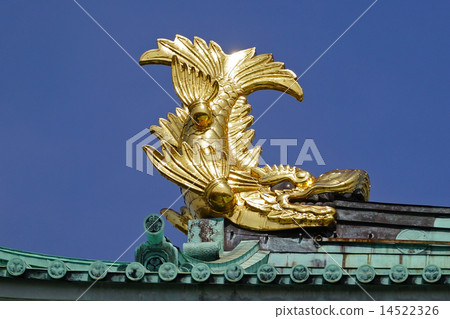 金海豚 14522326