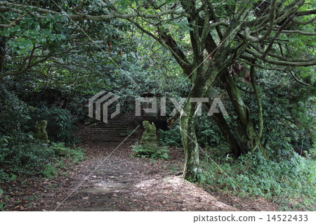 Kashima no Mori(加賀市鹿島神社石川神社大正寺河) Kashima no Mori(加賀市鹿島神社石川神社大正寺河) 14522433