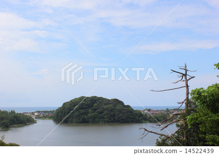 Kashima no Mori (Kaga city Kashima shrine Ishikawa shrine Daishoji River) 14522439