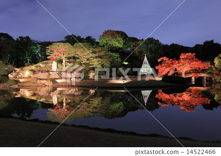 Rokuen Garden Enzo Light Up 14522466