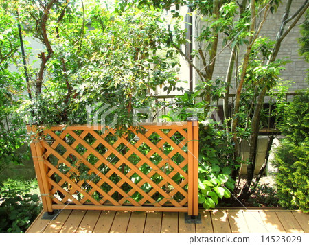 新綠色季節從事園藝的圖像 新綠色季節從事園藝的圖像 14523029