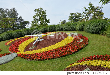 Jadin anglais clock flower in Geneva Jadin anglais clock flower in Geneva 14524007