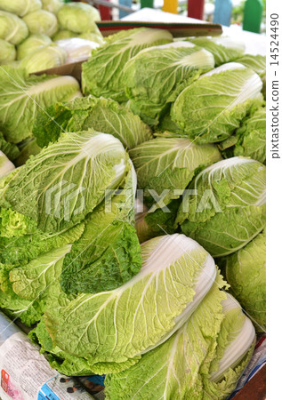 Chinese lettuce on sale in the market Chinese lettuce on sale in the market 14524490