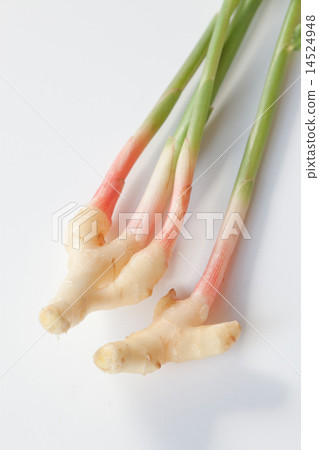 新姜 新姜 14524948