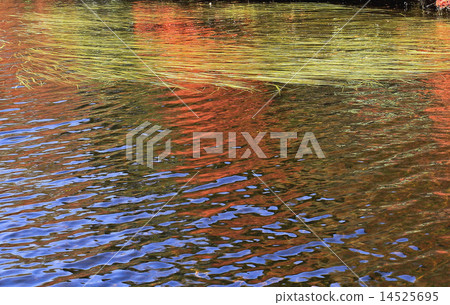 Autumn water surface 14525695