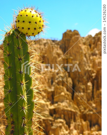 月亮谷 月亮谷 14526280