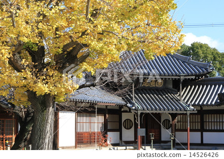 大佛寺 大佛寺 14526426