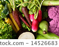 Vegetables 14526683