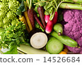 Vegetable material 14526684