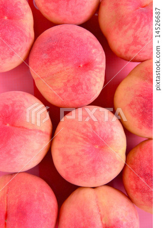 peach  peach  14526687