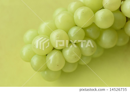 Muscat Muscat 14526735