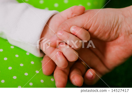 Hand of a little baby in mother's hand Hand of a little baby in mother's hand 14527417