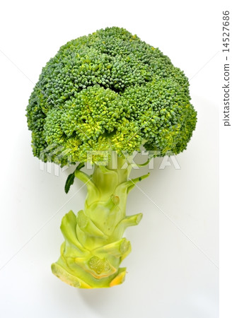 注意）白色背景上可能有一些垃圾。活黃色西蘭花生蔬菜（國內/靜岡生產）。 14527686