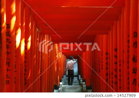 鳥居 14527909