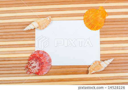Paper card and seashells on wooden background Paper card and seashells on wooden background 14528126