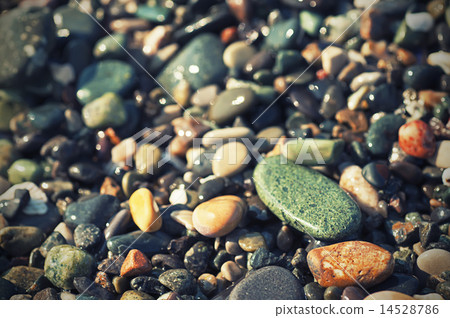 Sea pebble Sea pebble 14528786