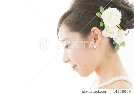 新娘 14528909