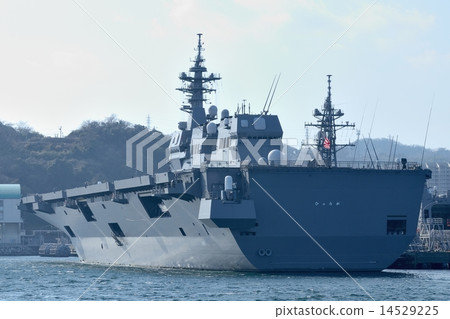 Self Defense Force 14529225