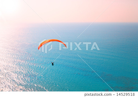 Paraglider soaring over the seashore 14529518