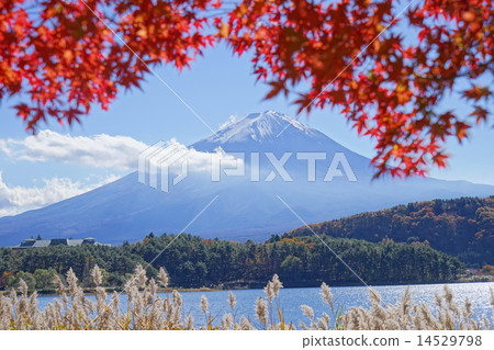 富士山 14529798