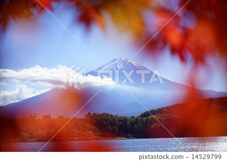 富士山 富士山 14529799