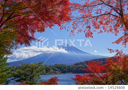 富士山 富士山 14529800