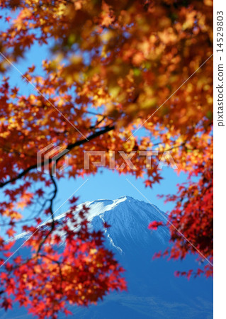 富士山 富士山 14529803