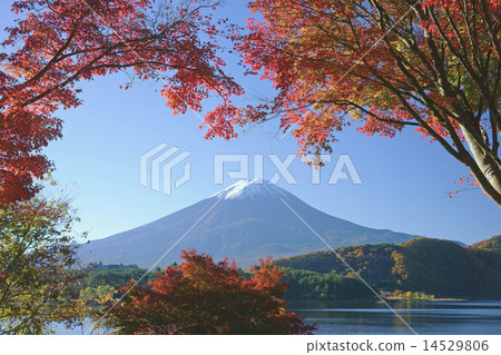 富士山 富士山 14529806