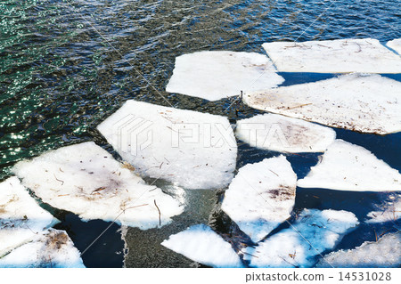 melting ice floes in river in spring 14531028