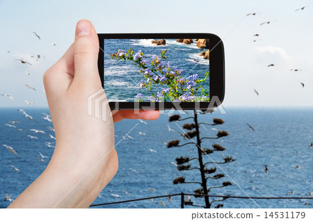 tourist photographs of mediterranean sea, Spain tourist photographs of mediterranean sea, Spain 14531179