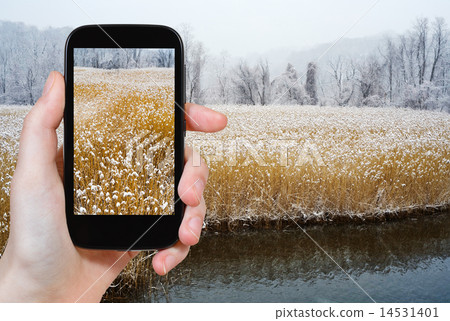 tourist photographs of Hudson river in winter 14531401