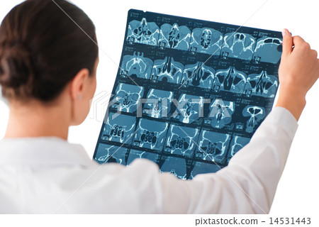 Female doctor with X-ray picture Female doctor with X-ray picture 14531443