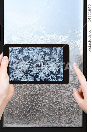tourist photographs of snowflakes and frost tourist photographs of snowflakes and frost 14531649